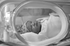 Special Care for Premature / Medically Sensitive Babies Services