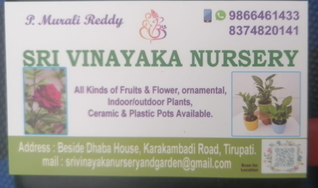 Sri Vinayaka Nursery